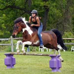 A woman riding on the back of a brown and white horse.