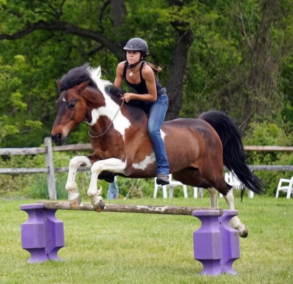 A woman riding on the back of a brown and white horse.