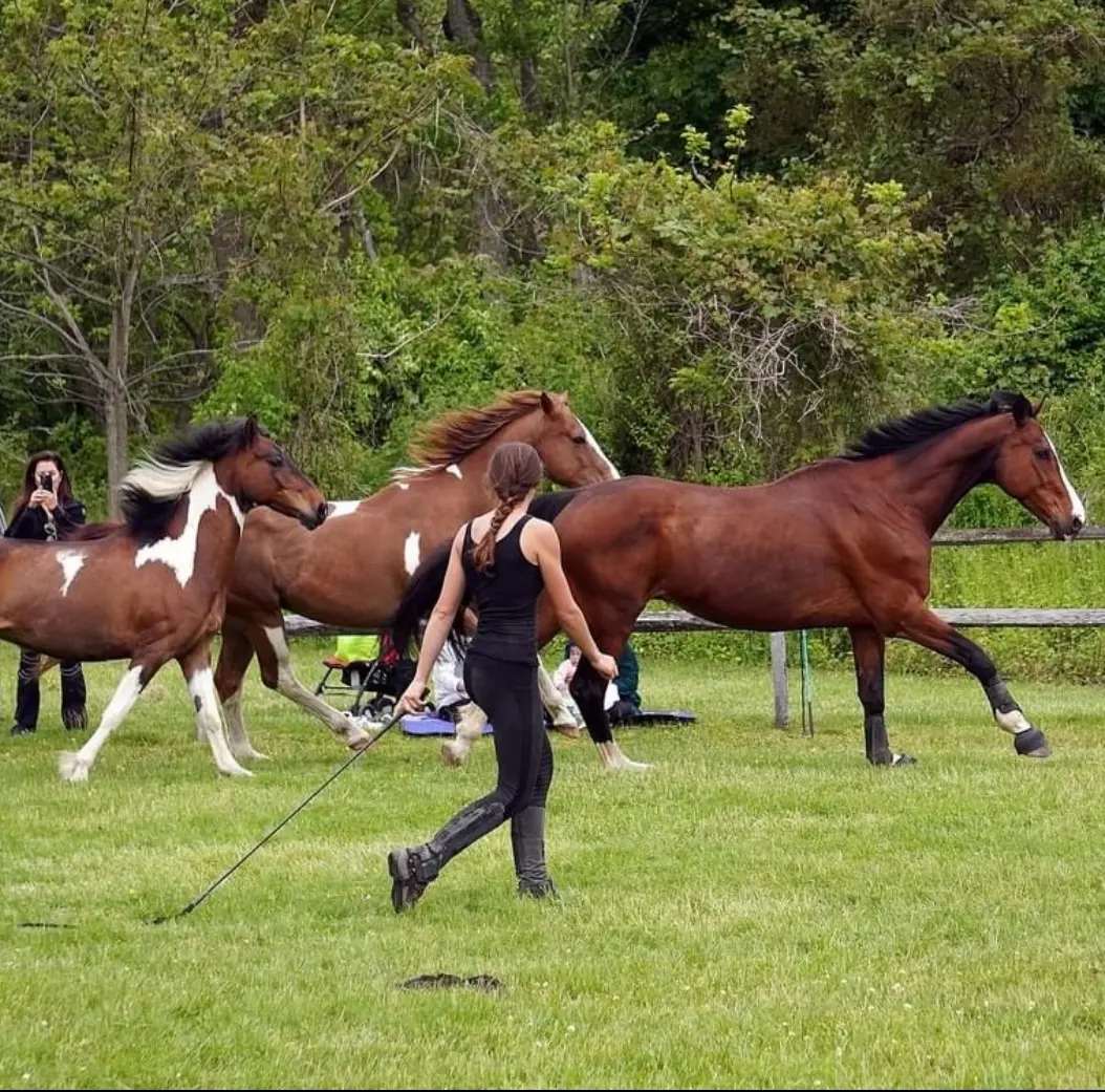 A woman running with horses in the grass.