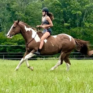 A woman riding on the back of a brown and white horse.