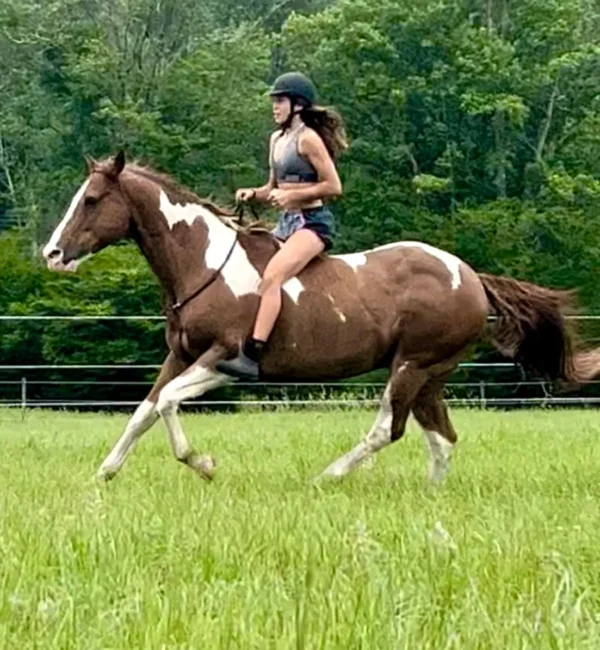 A woman riding on the back of a brown and white horse.