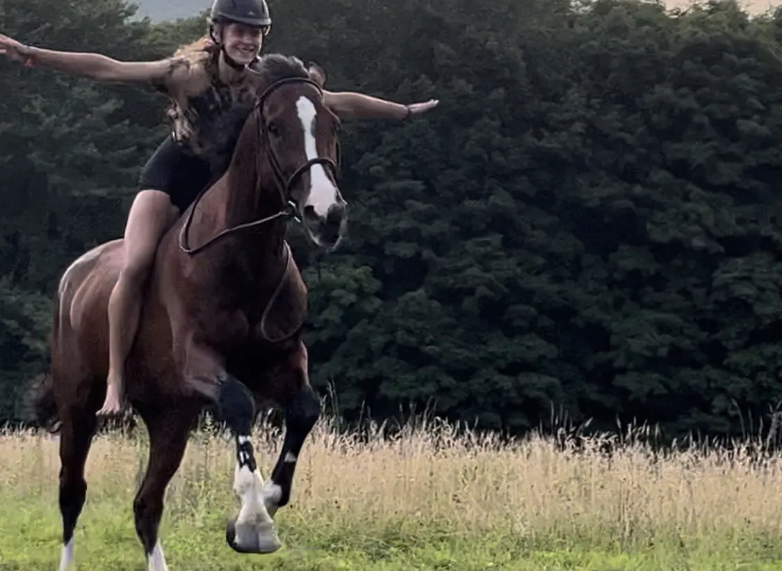 A woman riding on the back of a brown horse.