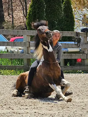 A person sitting on top of a horse.