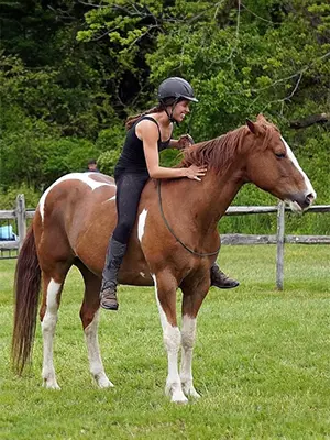 A woman riding on the back of a brown horse.