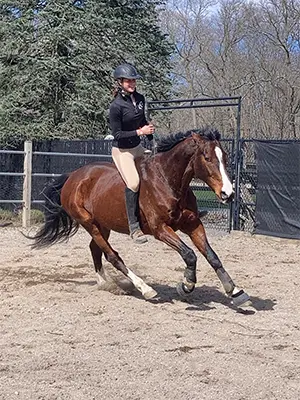 A person riding on the back of a brown horse.