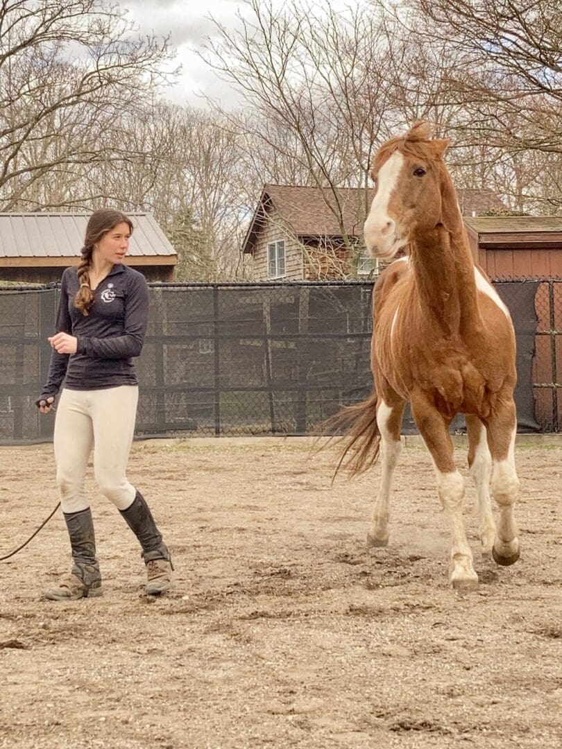 A woman is leading a horse in the dirt.