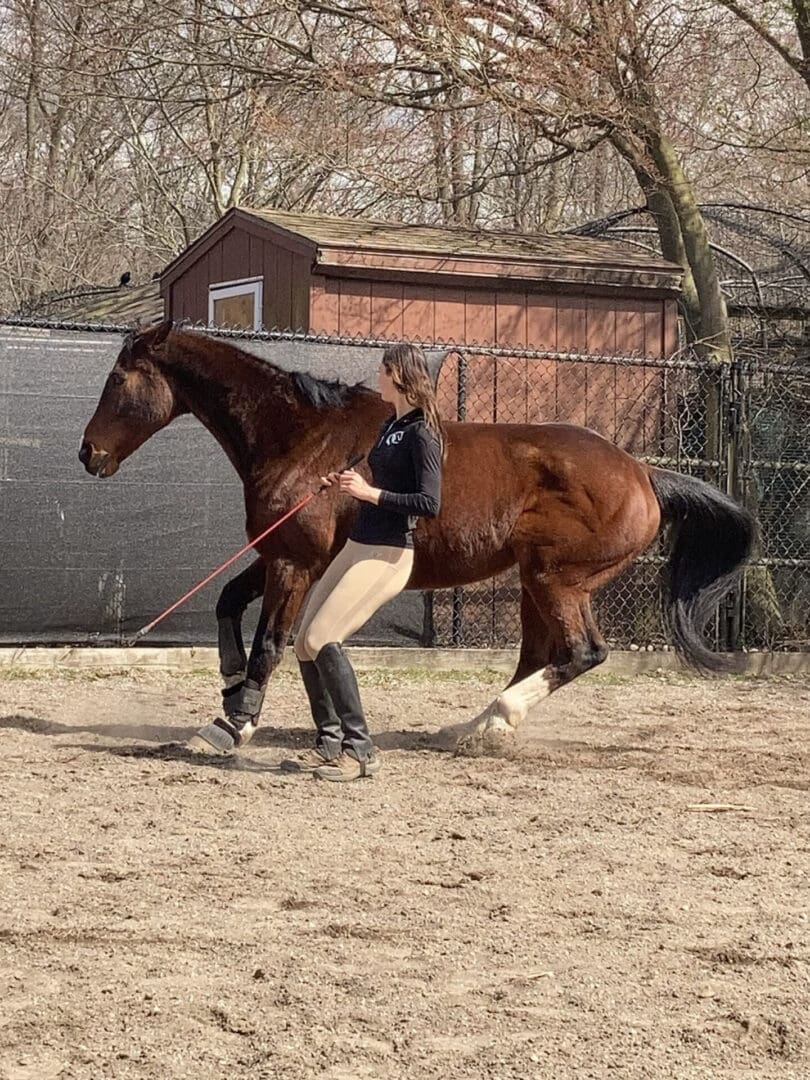 A person riding on the back of a horse.